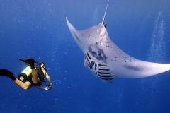 Micronésie - Séjour Plongée à Yap