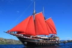 Indonésie - Croisière Forgotten Islands WALLACEA