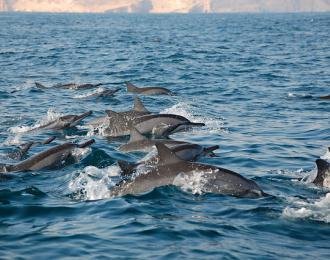 Oman - Séjour Al Sawadi Beach Resort & Spa