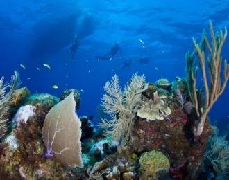 Bonaire - Eden des Caraïbes