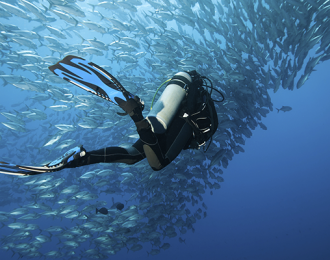Séjour plongée sur Ibo Island - Archipel des Quirimbas
