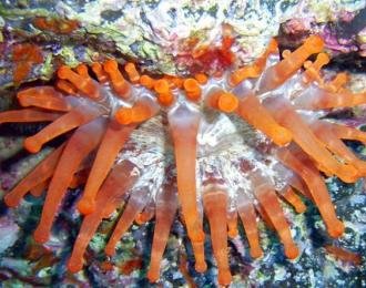 Espagne - Séjour à Lanzarote, îles Canaries