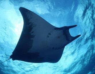 Açores - Séjour à Santa Maria