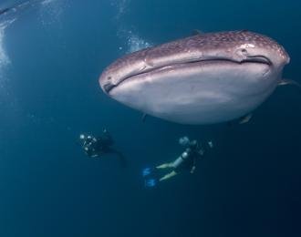 Philippines - Croisière Visayas sur Seadoors