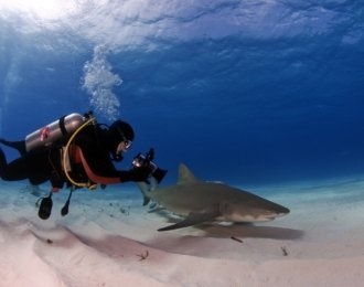 Bahamas - Croisière expédition spéciale requins